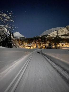 Hemsedal Mountain Retreat